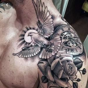 Meet your Posher, Gael